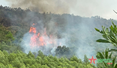 Bộ đội, dân quân tham gia chữa cháy rừng